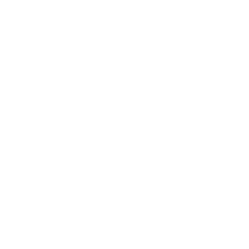96Lost
